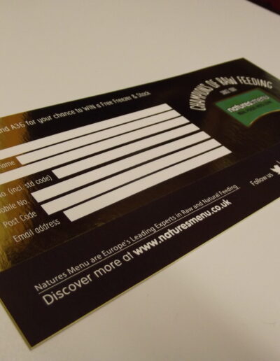Flyer Printing
