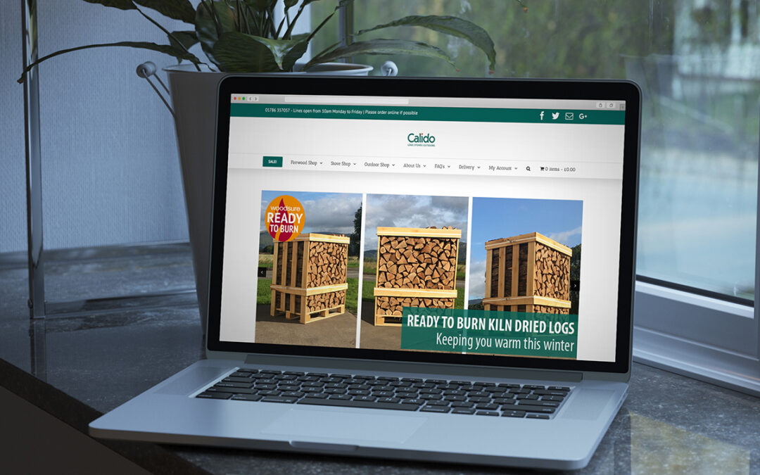 Website Mockup