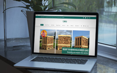 How to Improve the UX of your Website