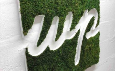 Increase Your Brand Awareness with Printed Media